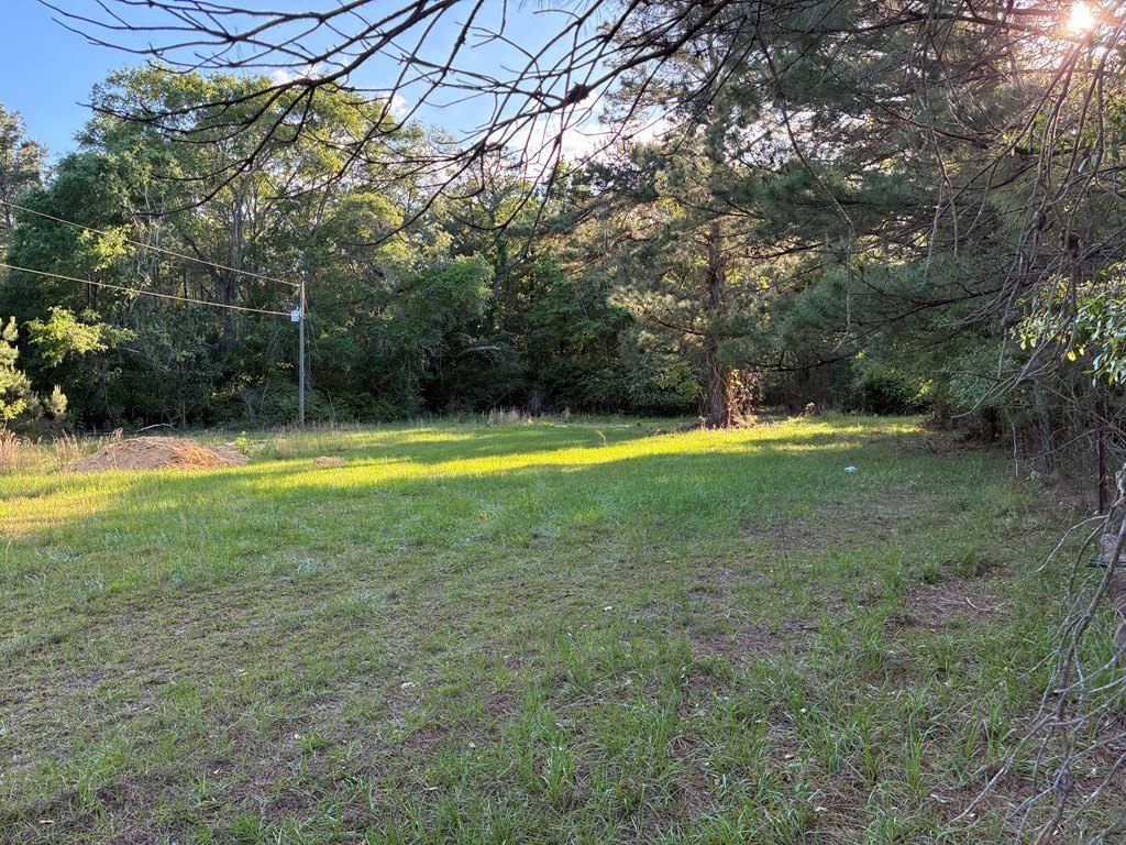 Picture 5