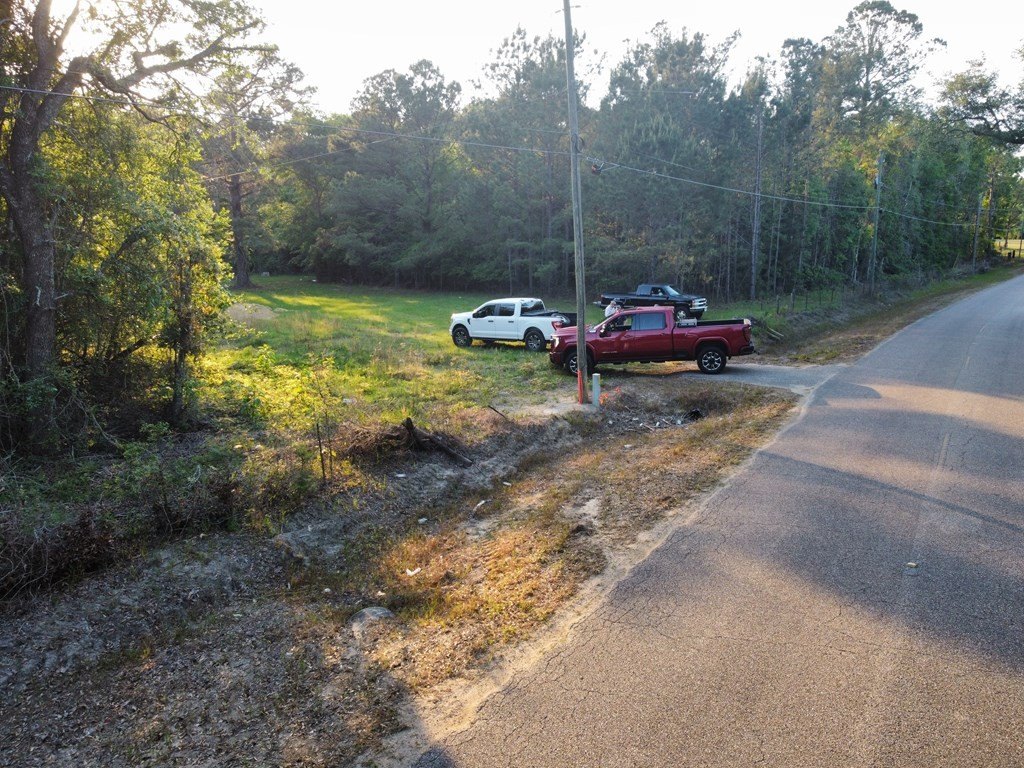 Picture 12