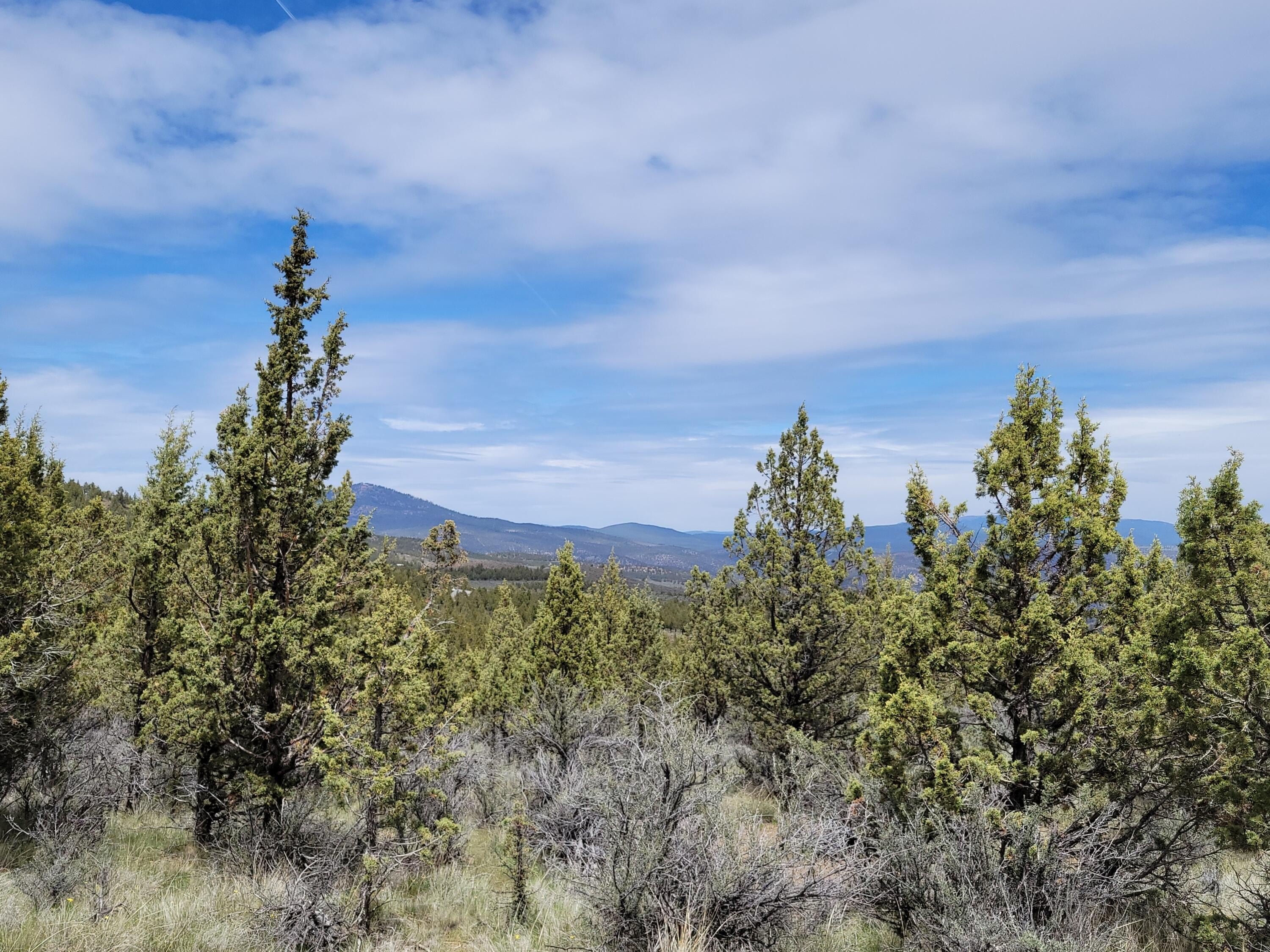 Prineville Wooded Land Package