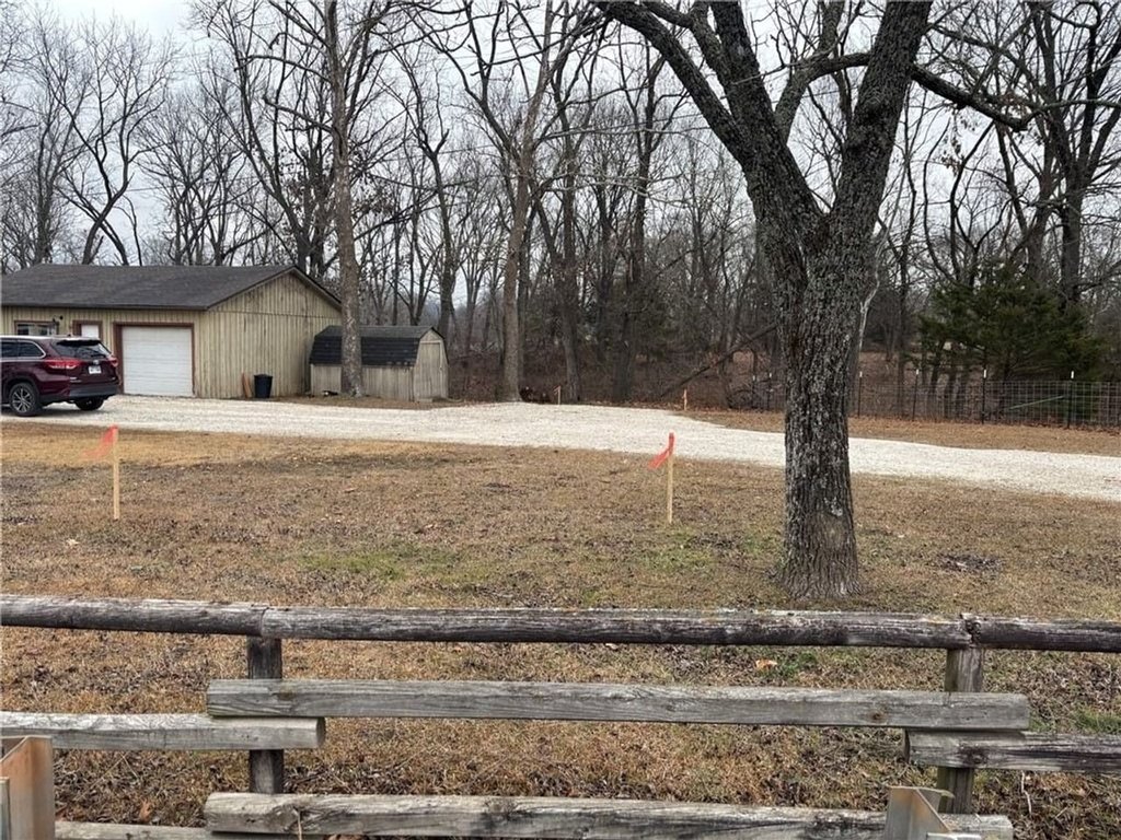 Picture 21