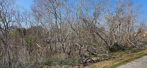 Wooded Land in Rockport, TX