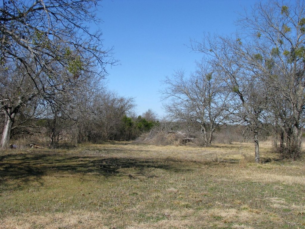 Picture 10