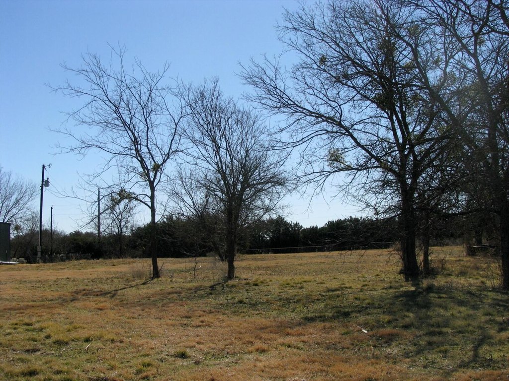 Picture 14
