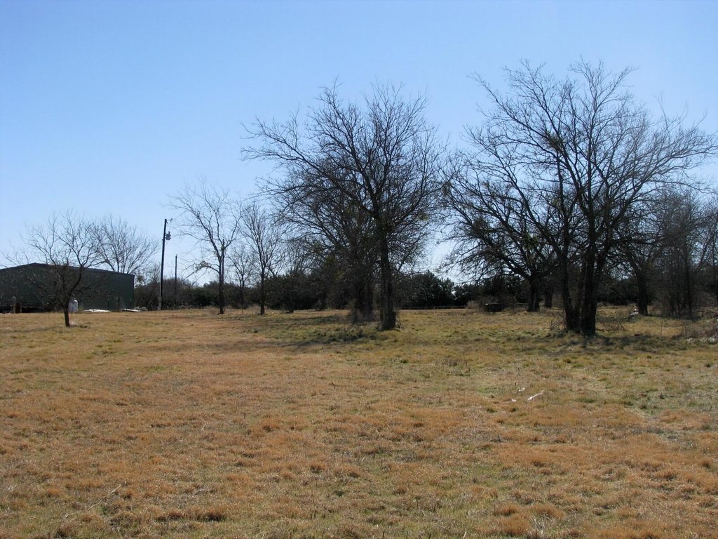 Picture 12