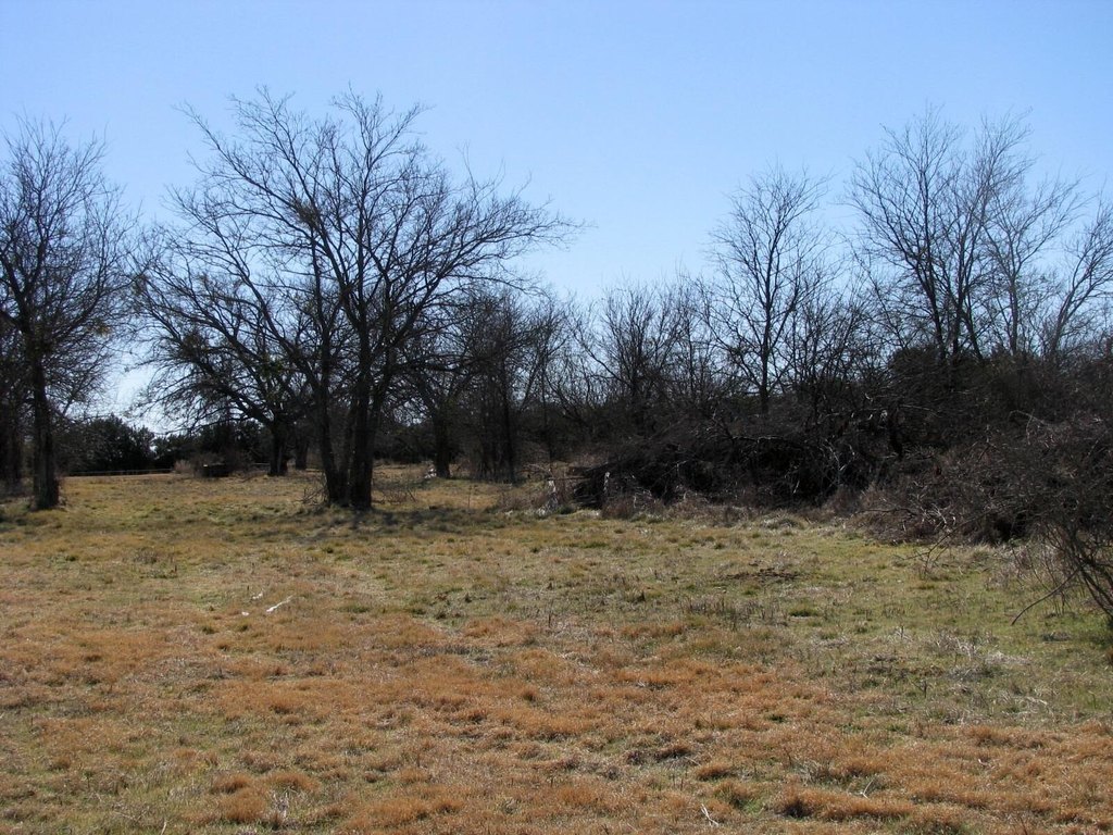 Picture 11