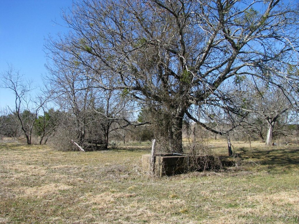 Picture 3
