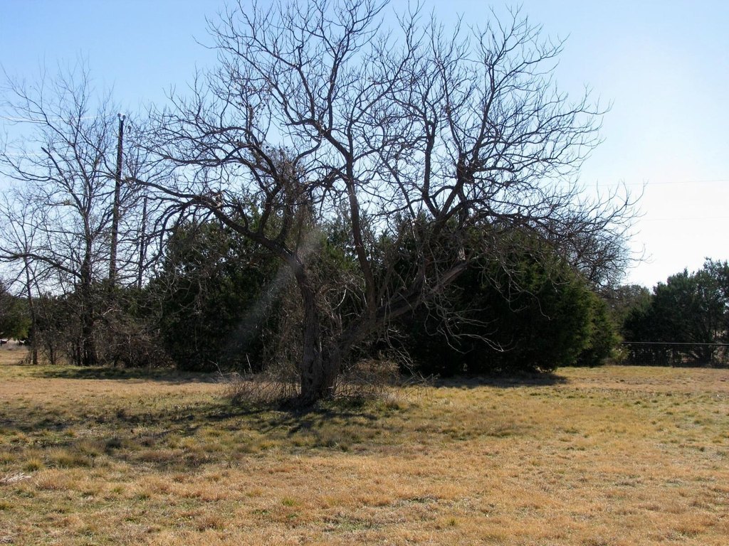Picture 15