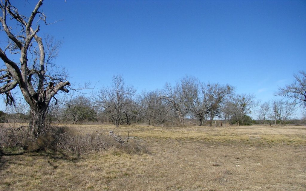 Picture 6