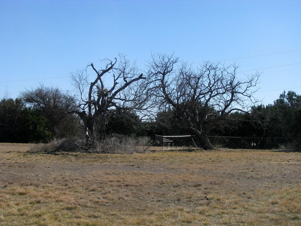 Picture 7