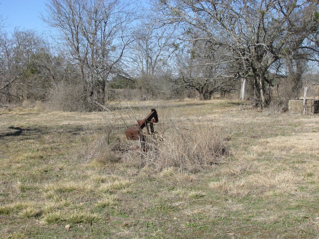 Picture 5