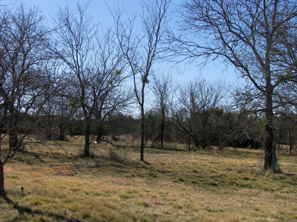 Picture 13