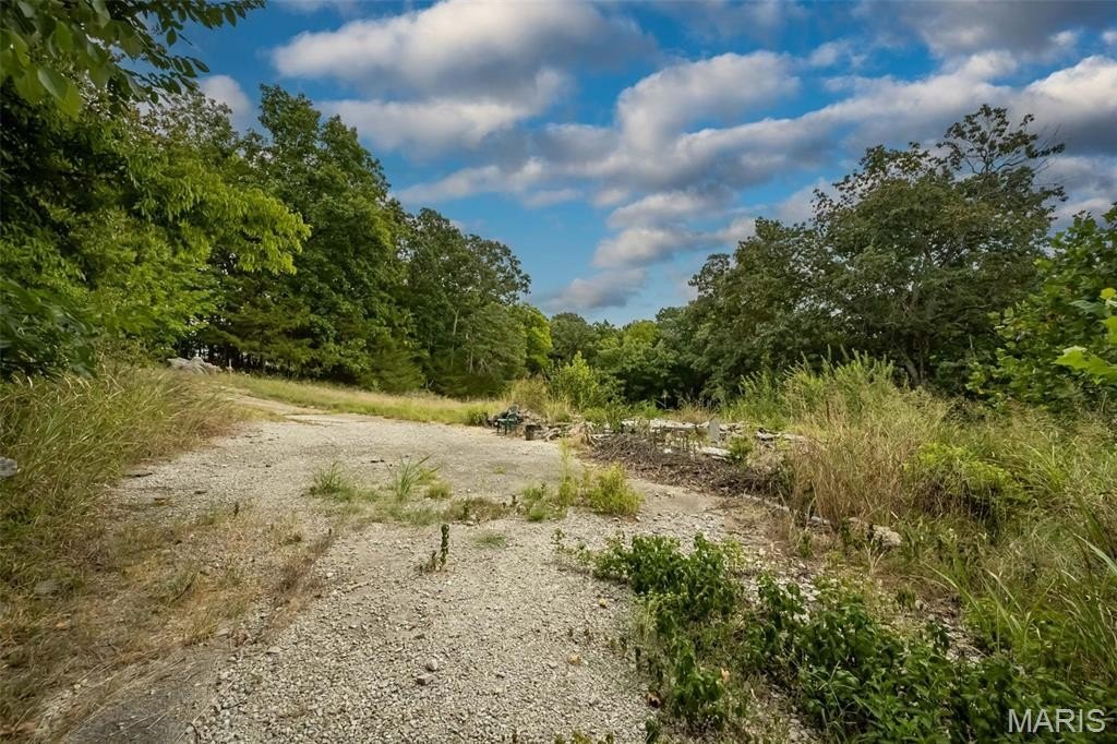 Picture 15