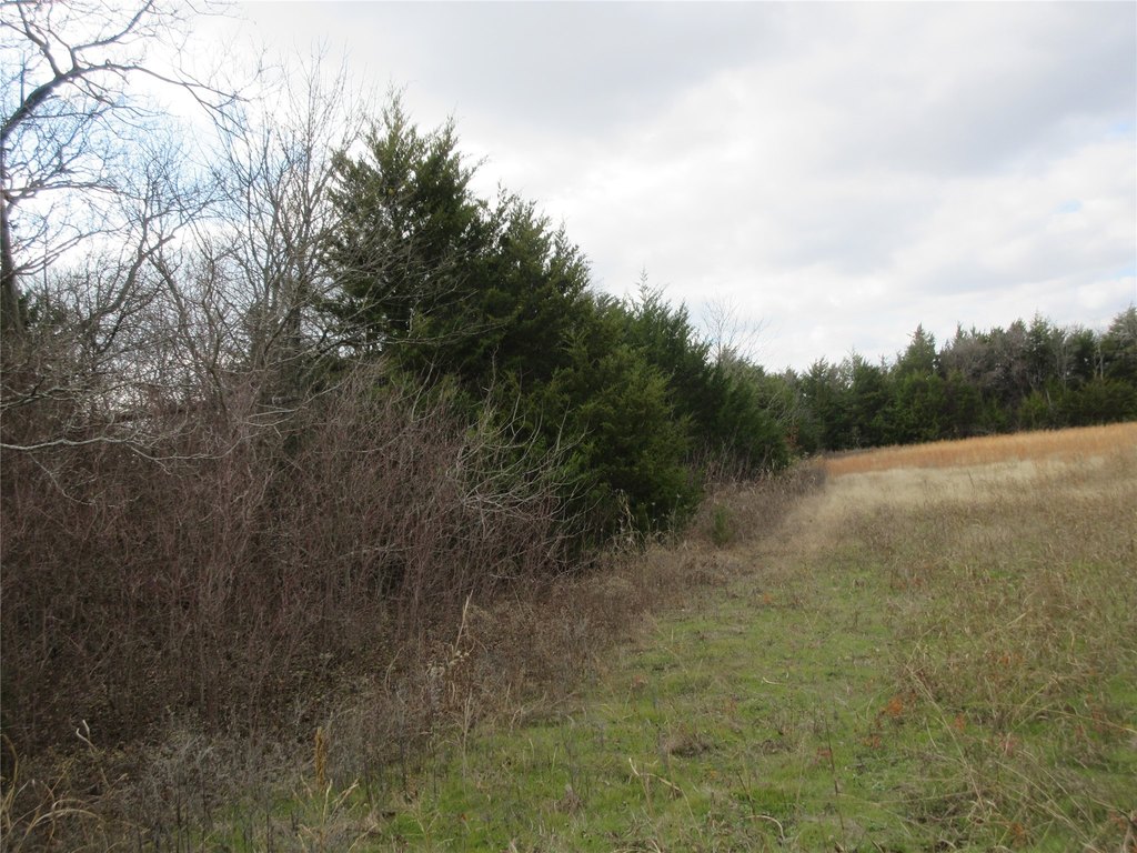 Picture 7