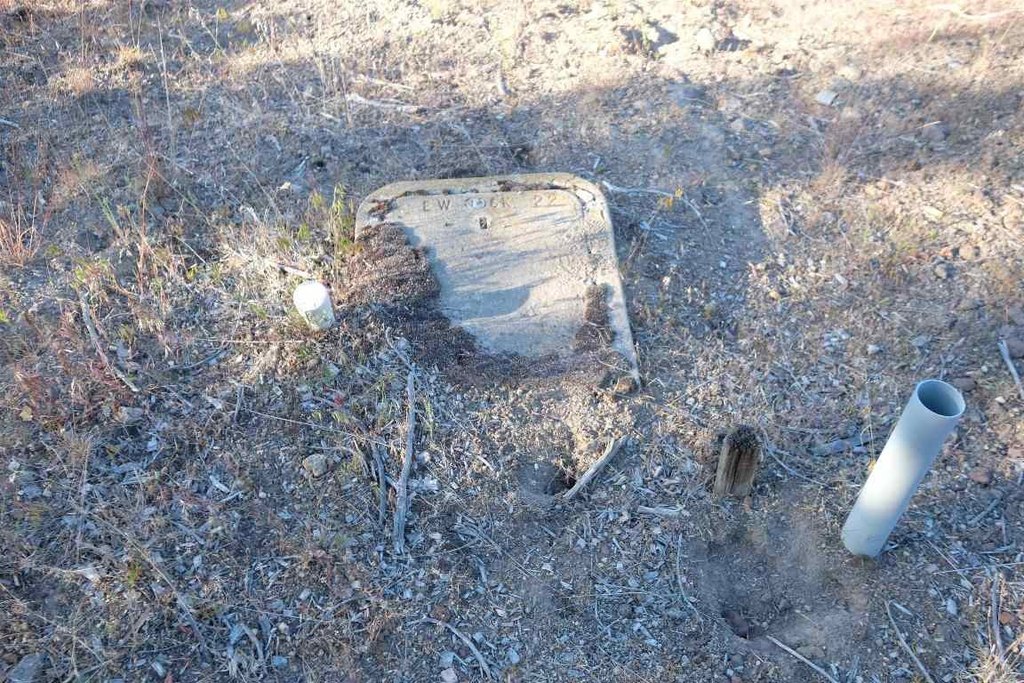Picture 21