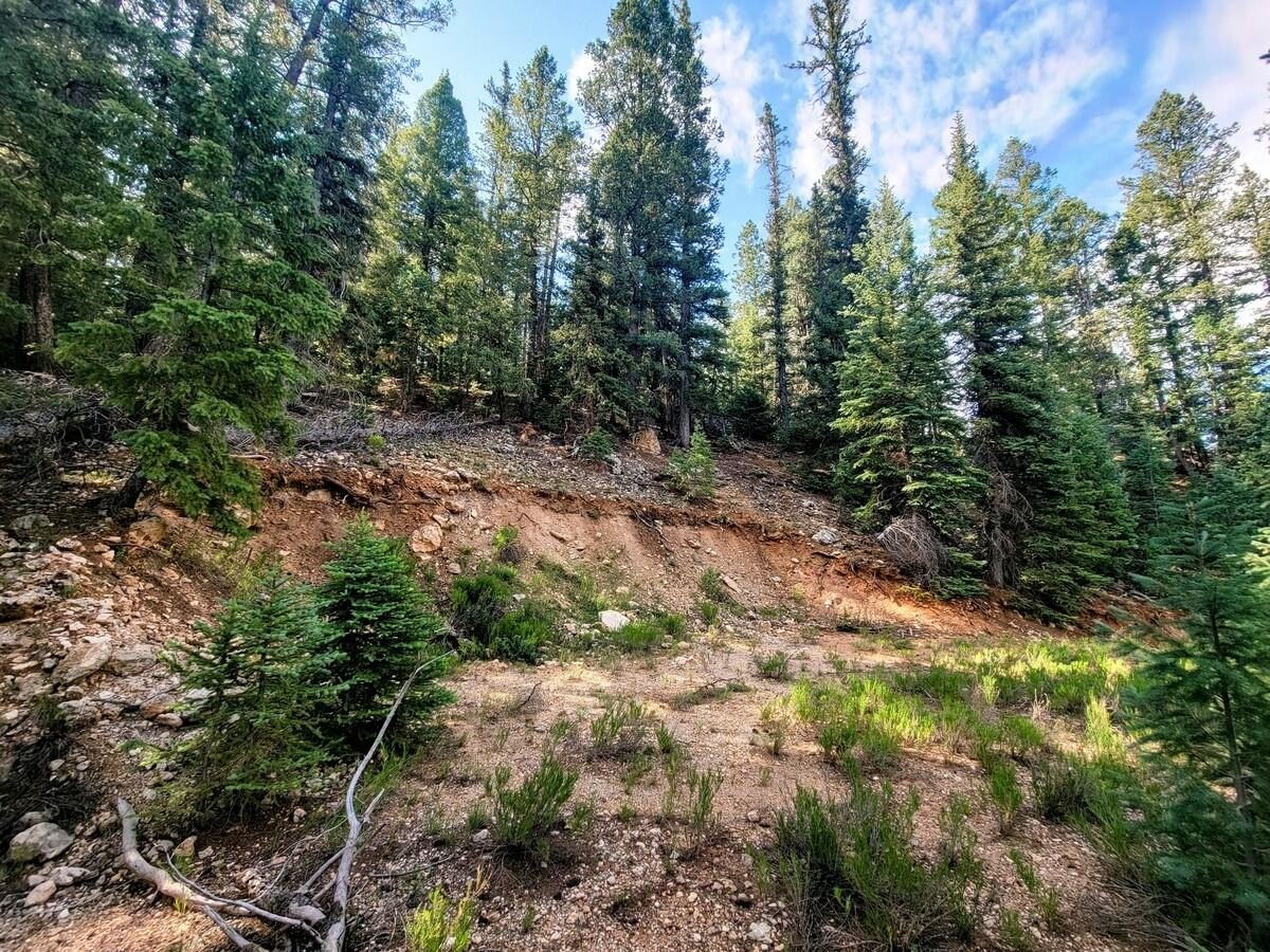 Wooded Lot with Mountain Views