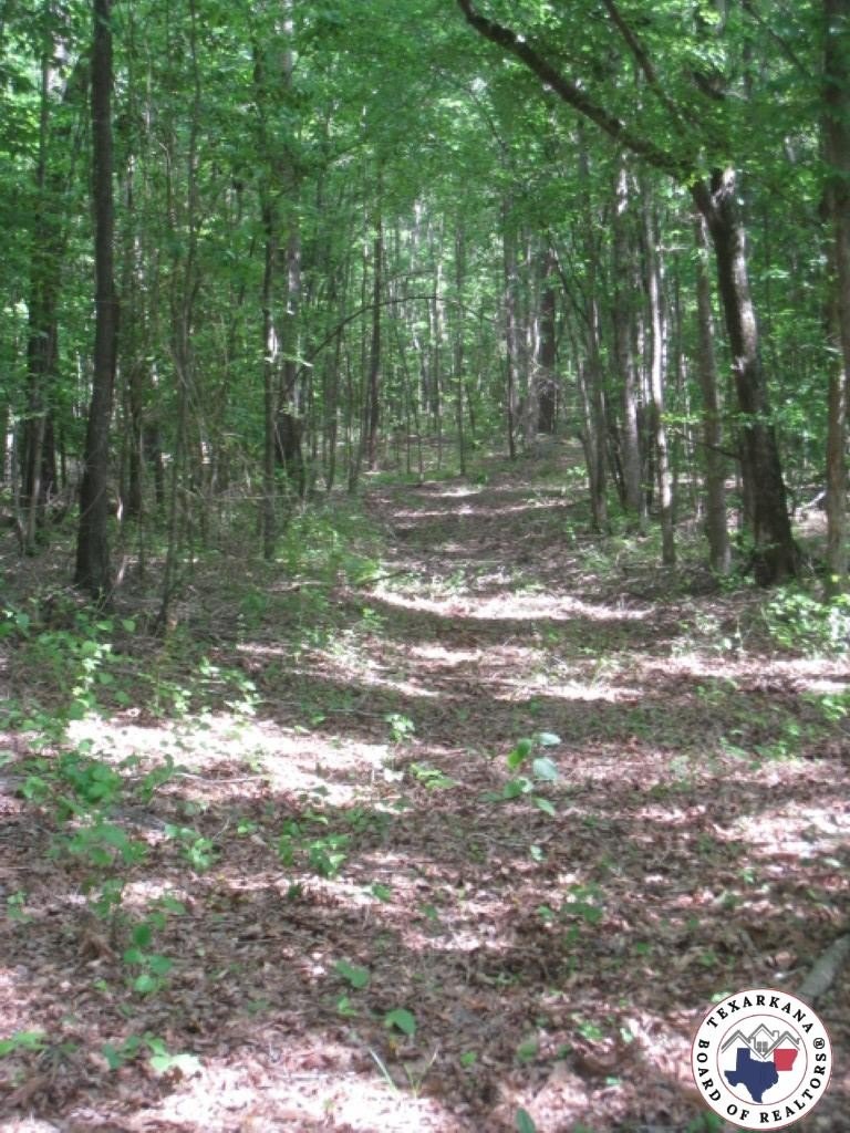 Genoa, AR Timber Land