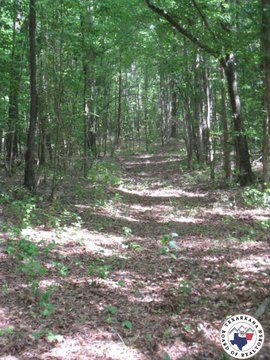 Genoa, AR Timber Land