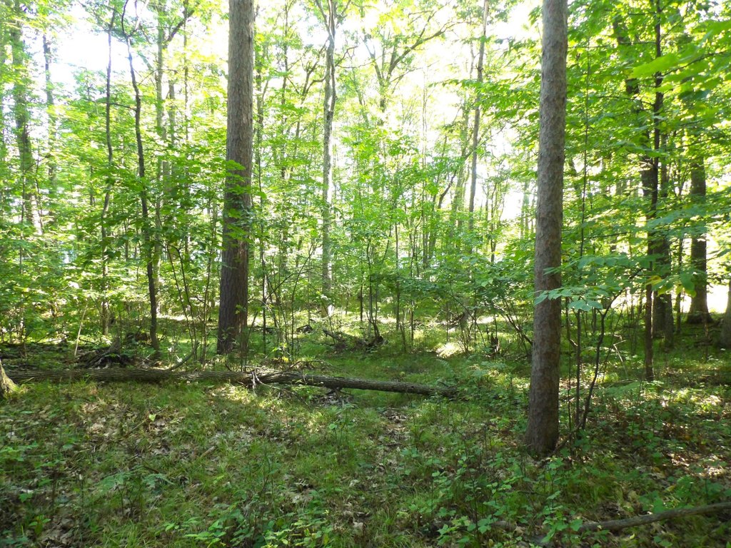 Picture 11