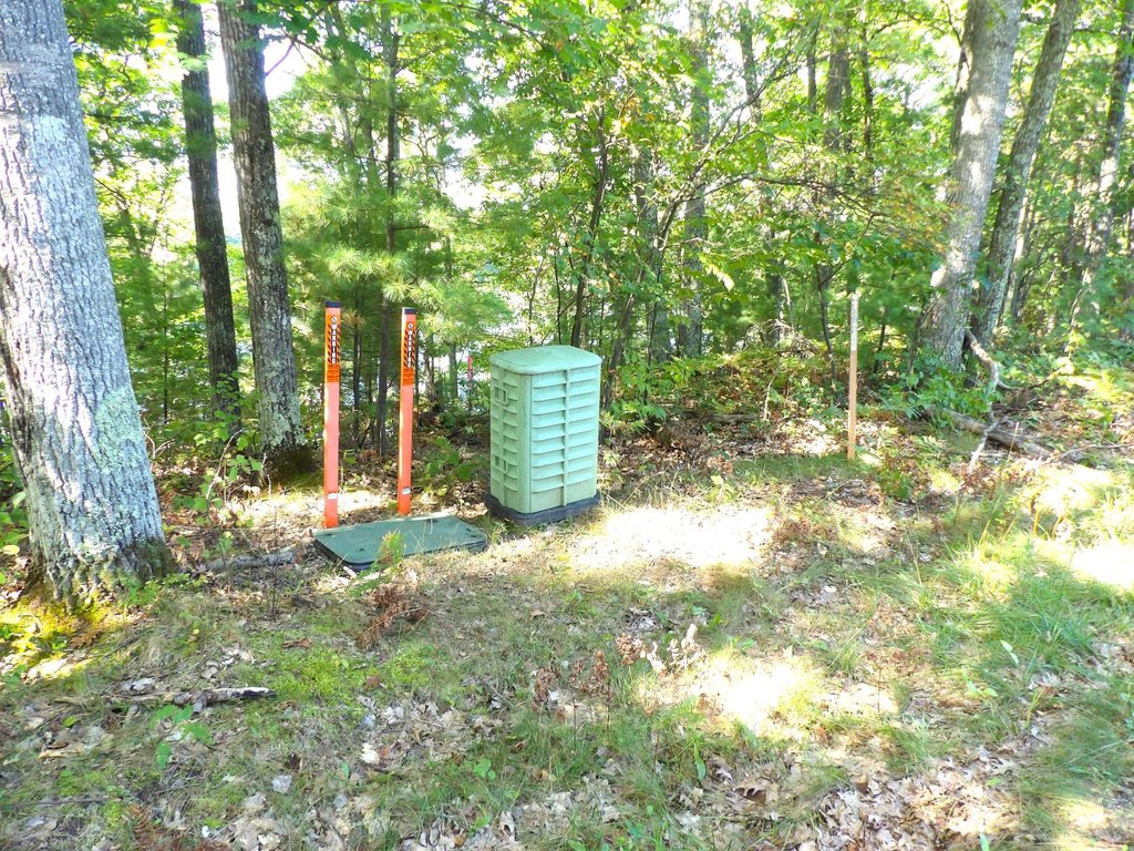Picture 16