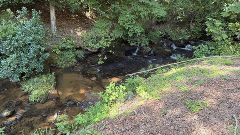 LAND - Hiawassee, GA