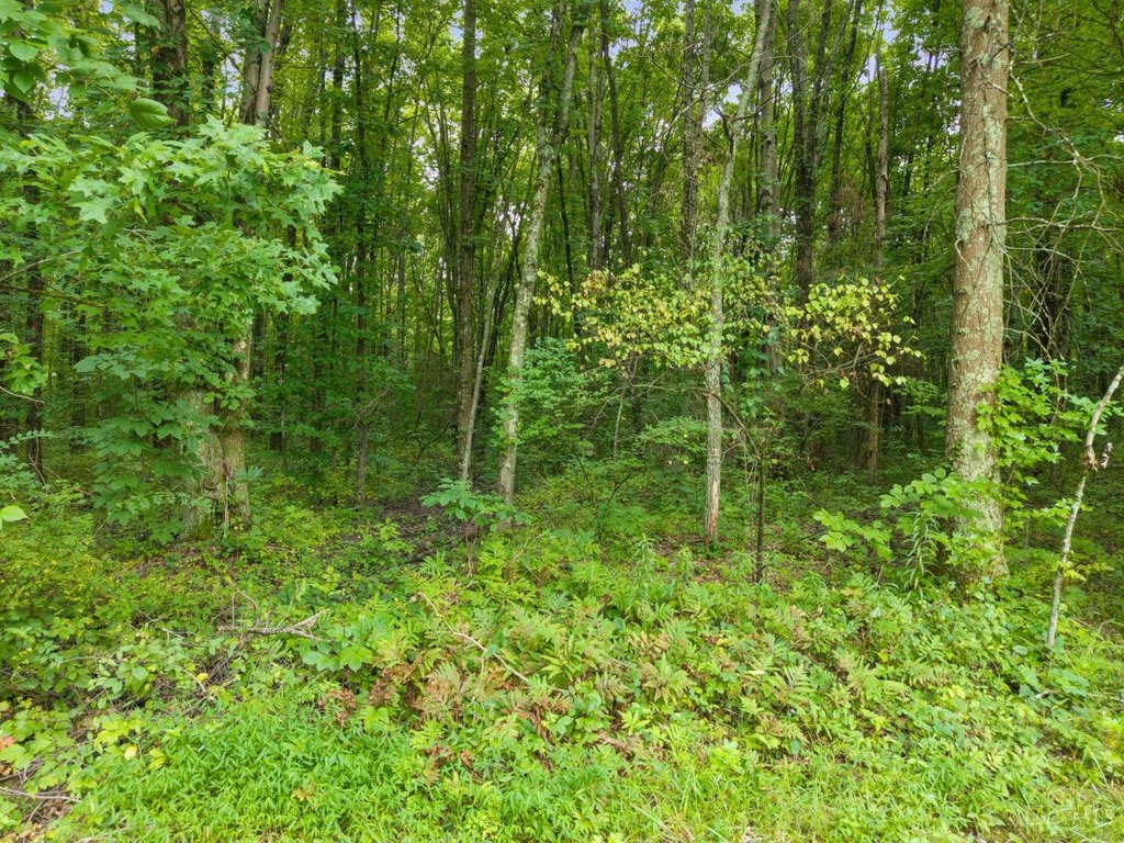 Picture 15