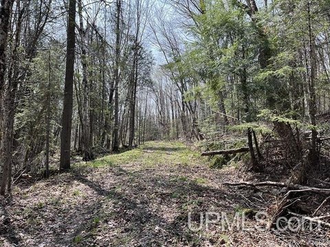 40 Acres on Chocolay River