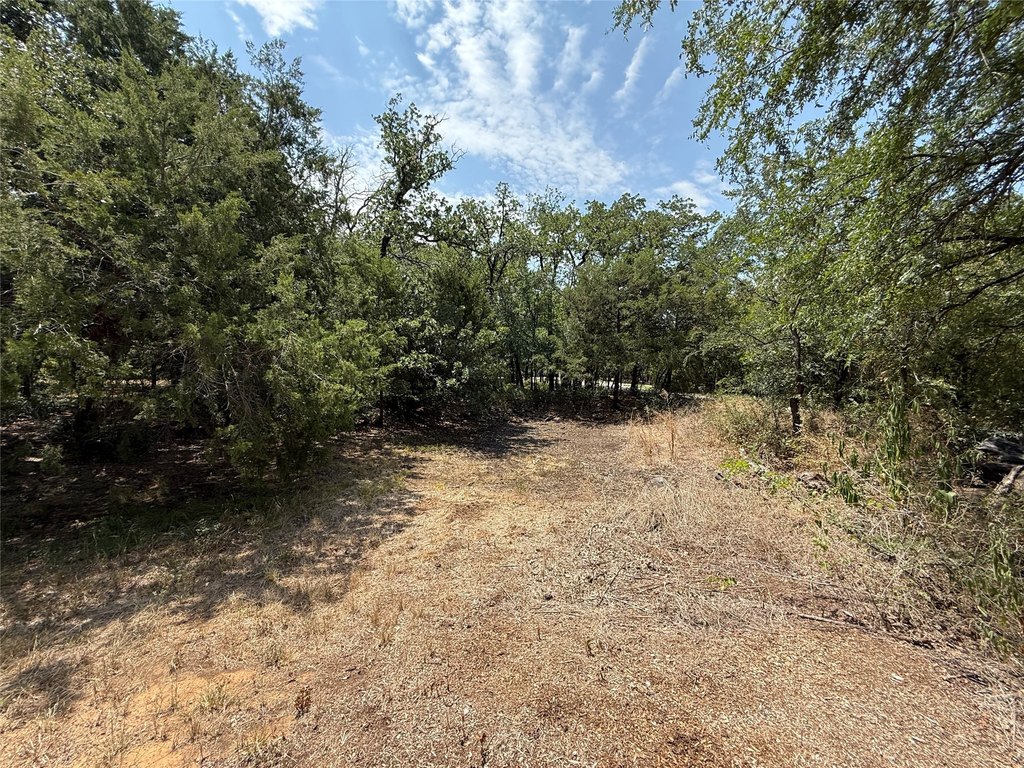 Picture 28