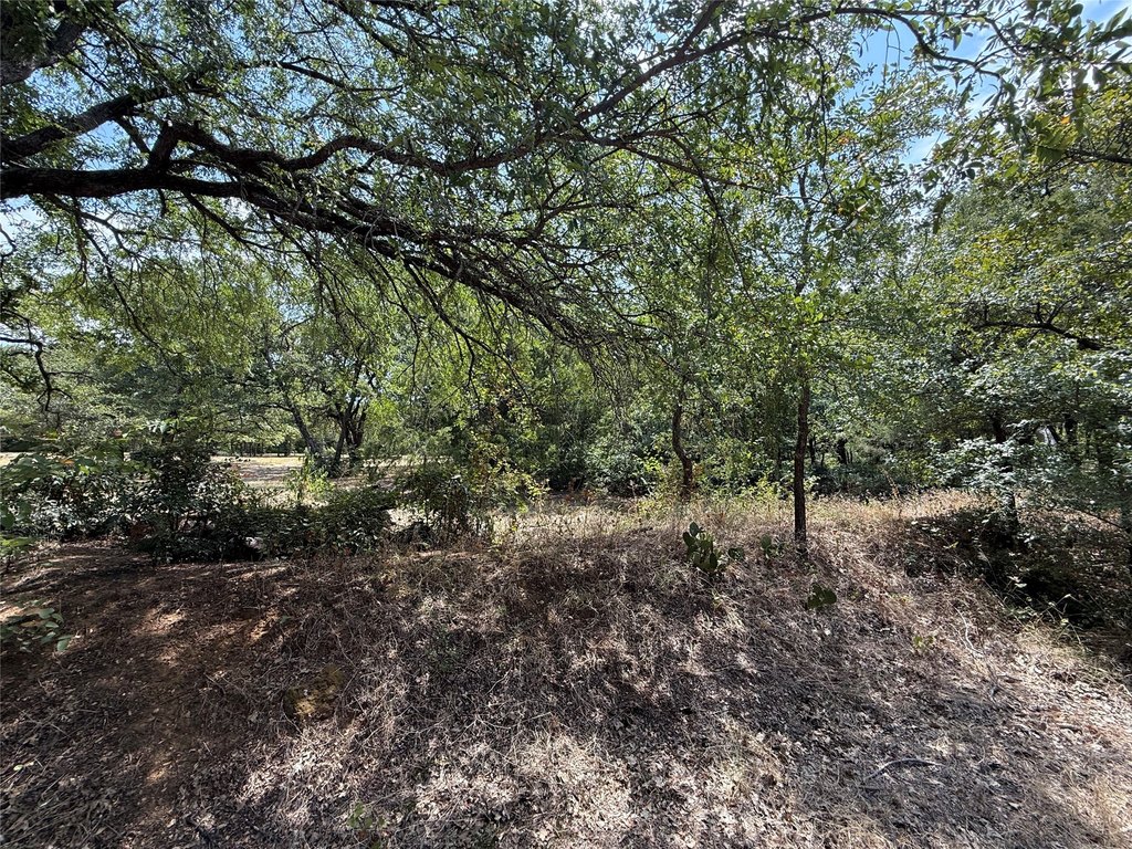 Picture 30