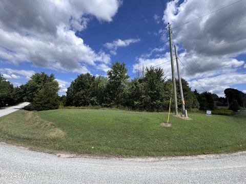 Picture of Land at Charlie Lewis Rd 888, Trenton, TN