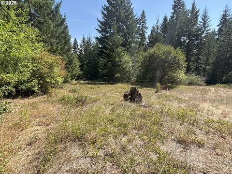 Lyle, WA Land Opportunity