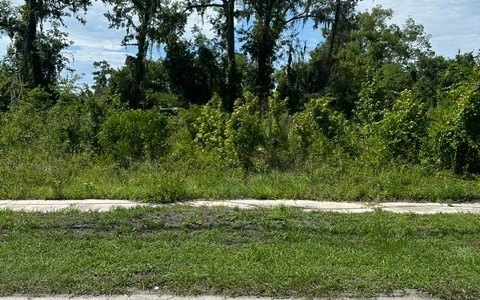 LAND - Jasper, FL