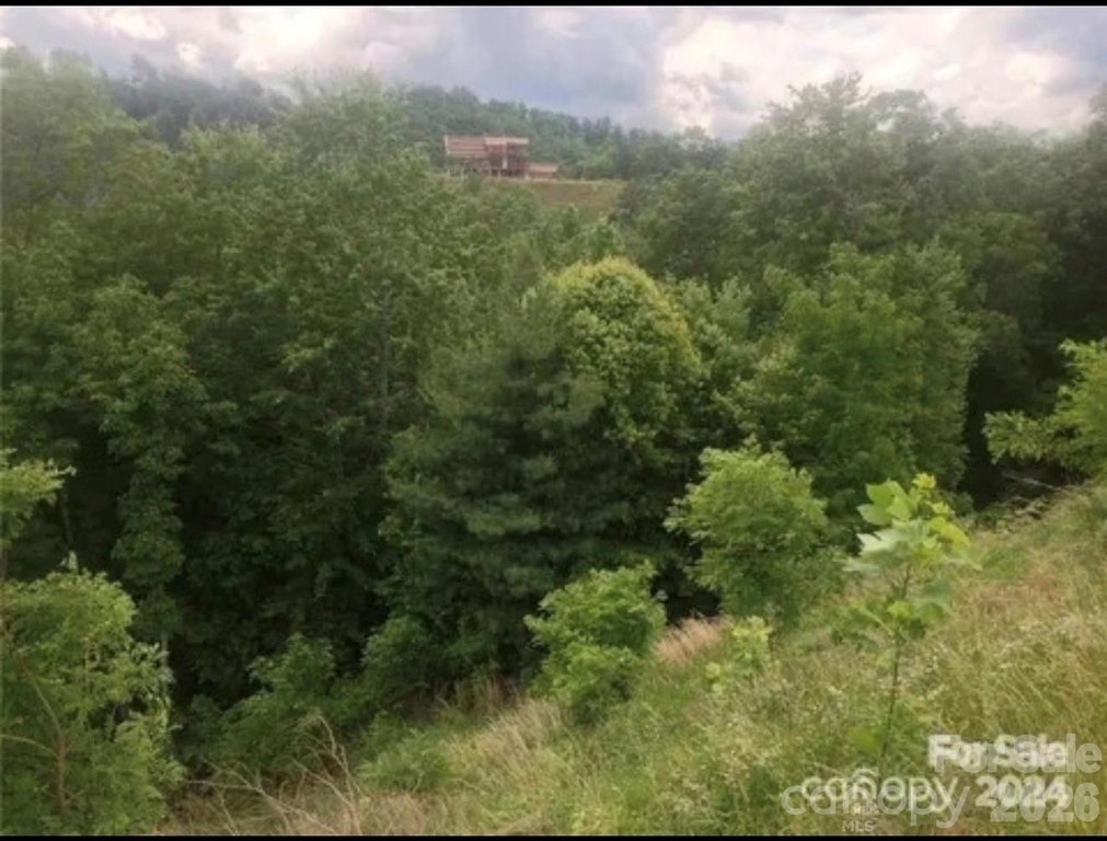 Picture 3