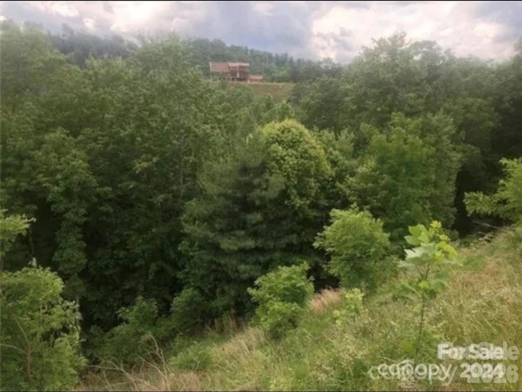 Picture 13