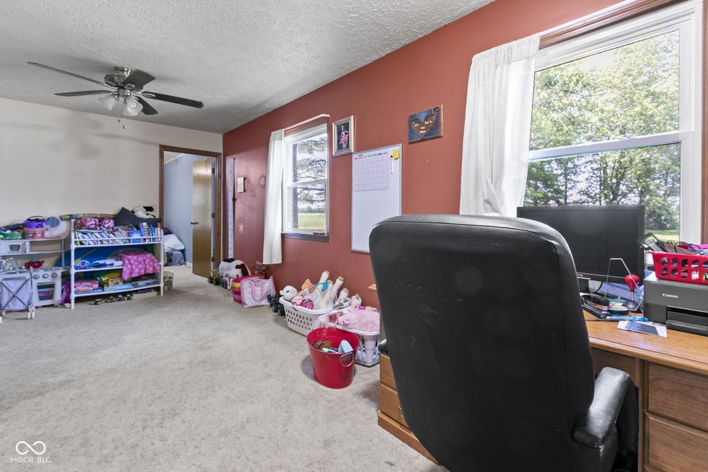 Picture 38