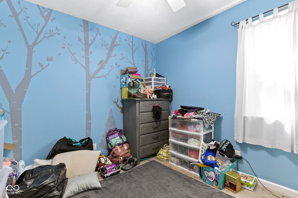 Picture 33