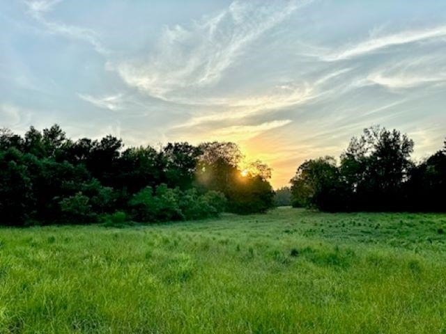 50 Acres of Serene Land