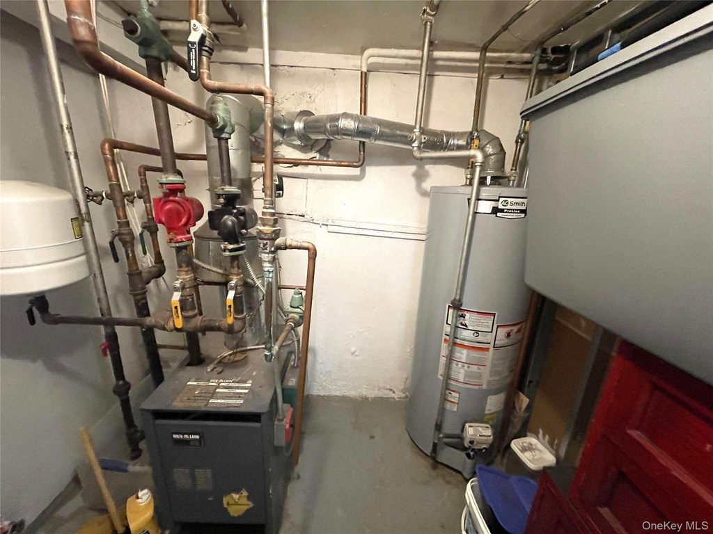 Picture 19