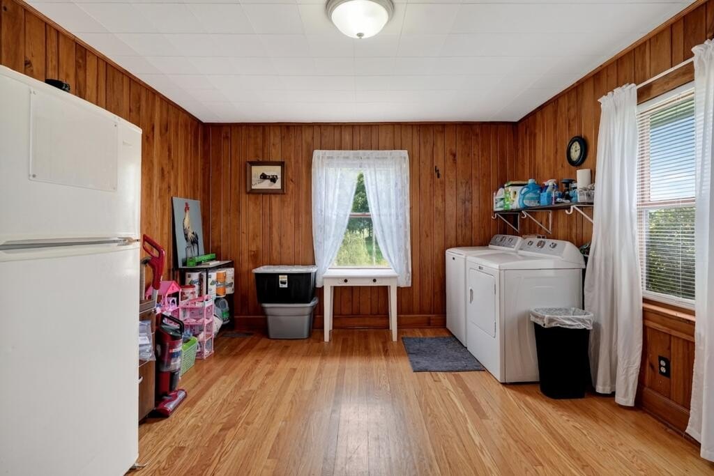Picture 7