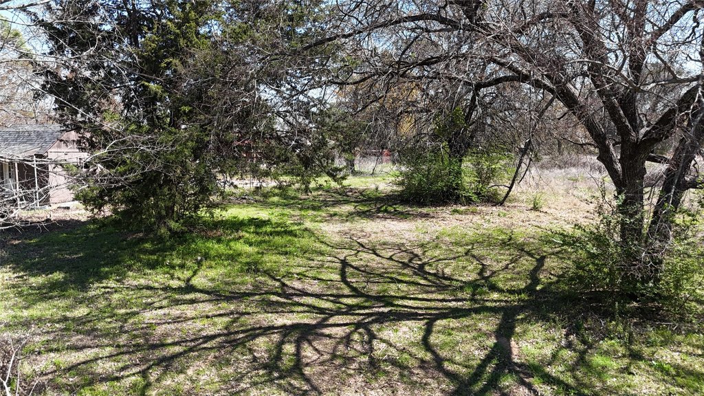 Picture 8