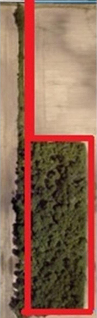 Residential Land in Marion, Indiana