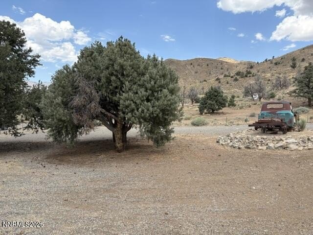 Picture 52