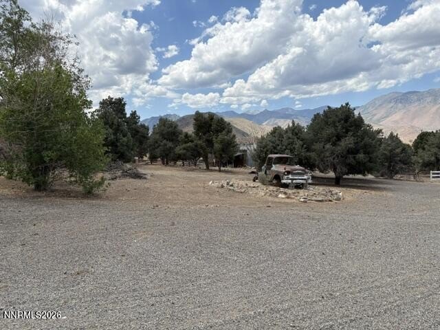 Picture 19