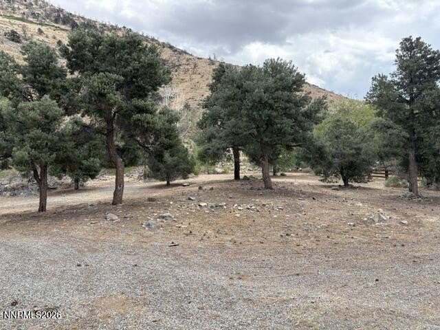 Picture 29
