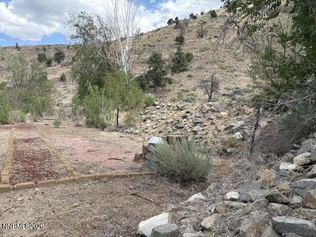 Picture 15