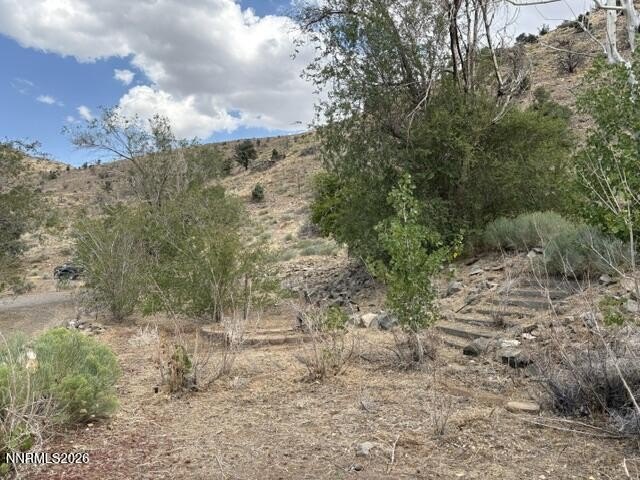 Picture 55