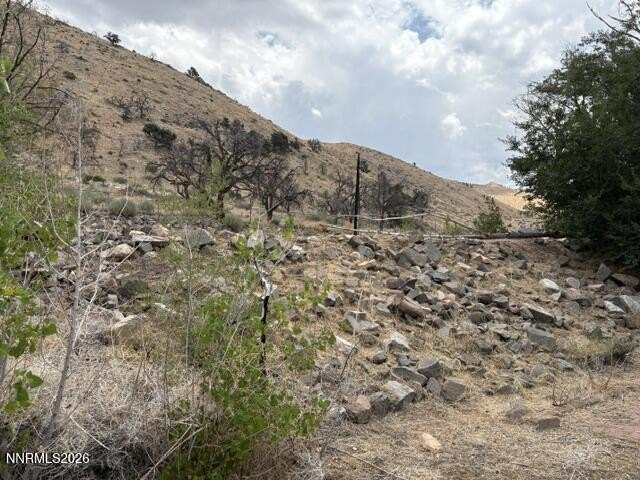 Picture 54