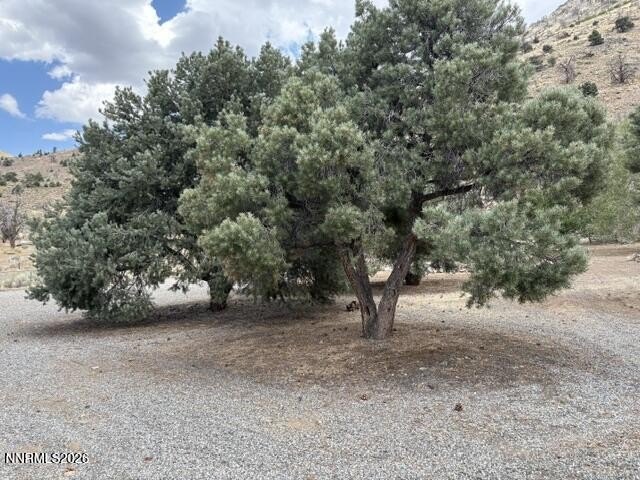 Picture 28
