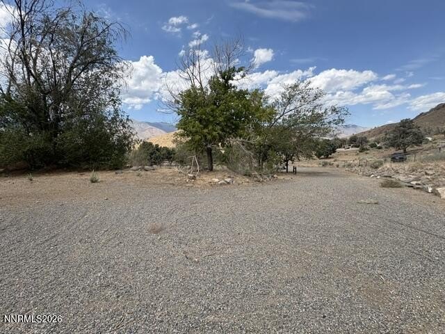 Picture 81
