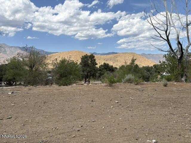Picture 11