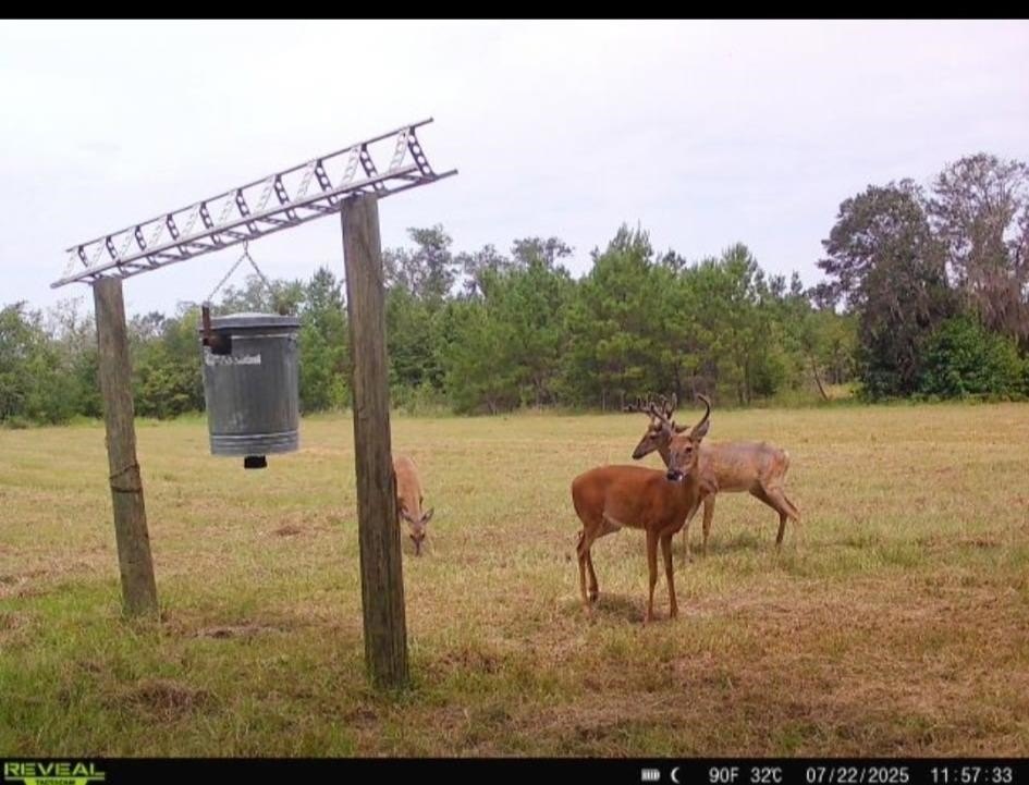 Prime Hunting and Recreation Land